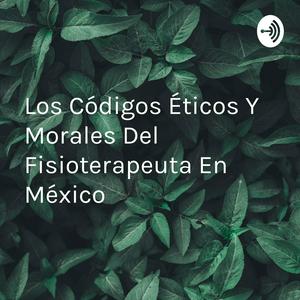 Los Códigos Éticos Y Morales Del Fisioterapeuta En México