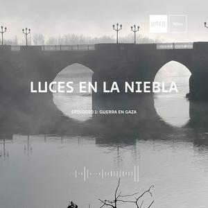 Luces en la niebla