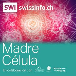Madre Célula