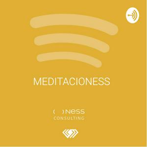 MeditacioNESS