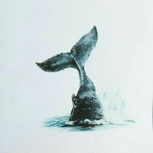 Música para Ballenas