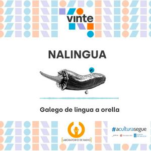 NALINGUA, lecturas dun neofalante