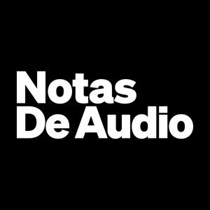 Notas de Audio