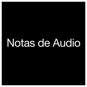 Notas de Audio