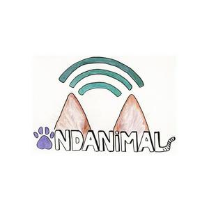 Podcast Ondanimal