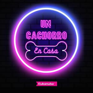 Un cachorro en casa