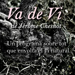Va de Vi