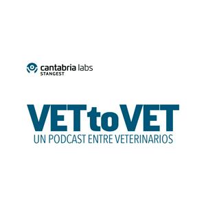 Vet to Vet