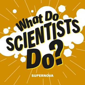 What Do Scientists Do?
