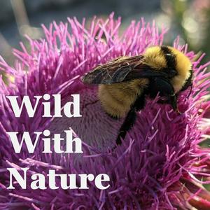 Wild With Nature