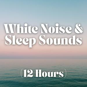 White Noise and Sleep Sounds (12 Hours)