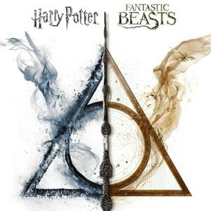 Wizarding World